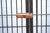 Spud Jax Petshop YES4PETS XXXXL Walk-in Bird Cat Dog Cage Pet Parrot Aviary  Perch 219x158x203cm With Green Cover Pet Care > Bird