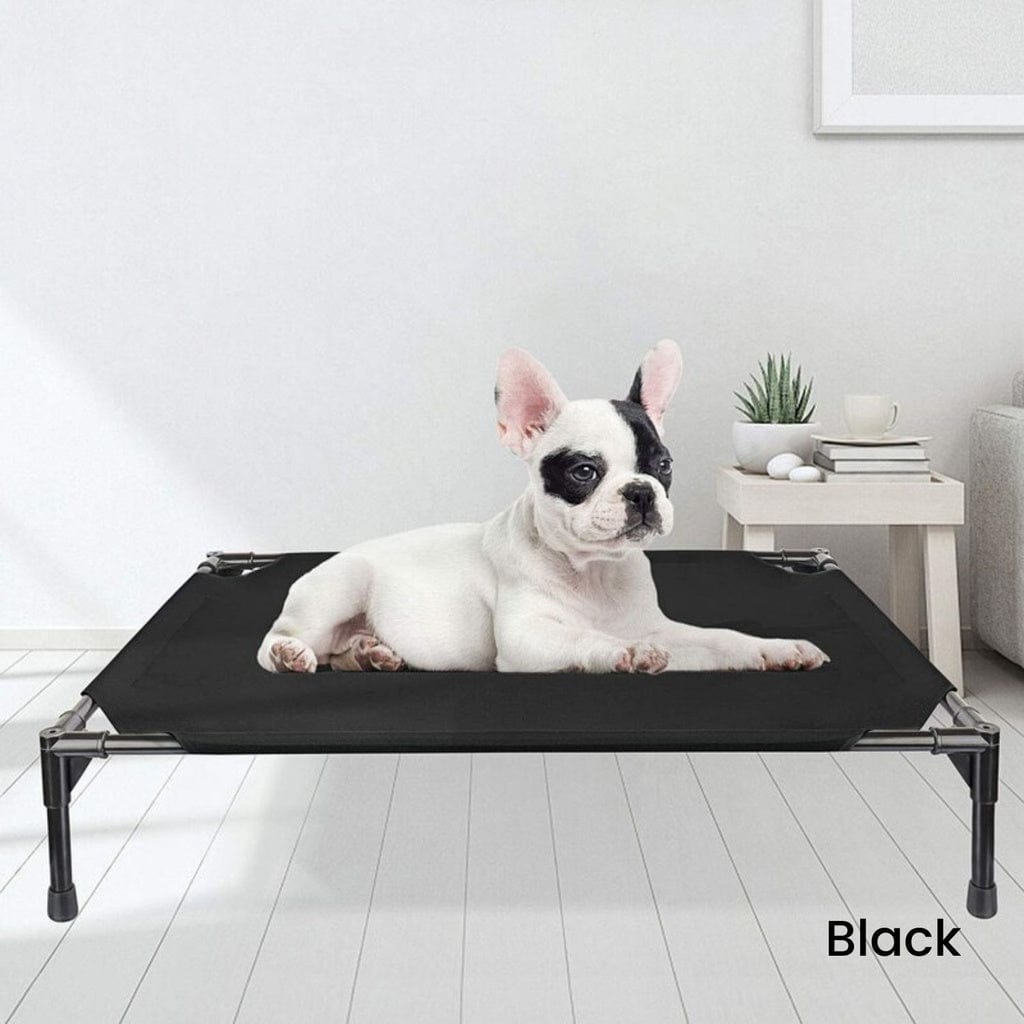 Spud Jax Petshop Floofi Elevated Pet Bed (M Black) FI-PB-264-QQQ Pet Care