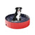 Spud Jax Petshop Floofi Pet Pool 120cm*30cm XL Red FI-SB-105-SG Pet Care