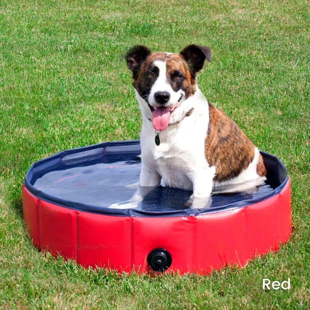 Spud Jax Petshop Floofi Pet Pool 120cm*30cm XL Red FI-SB-105-SG Pet Care