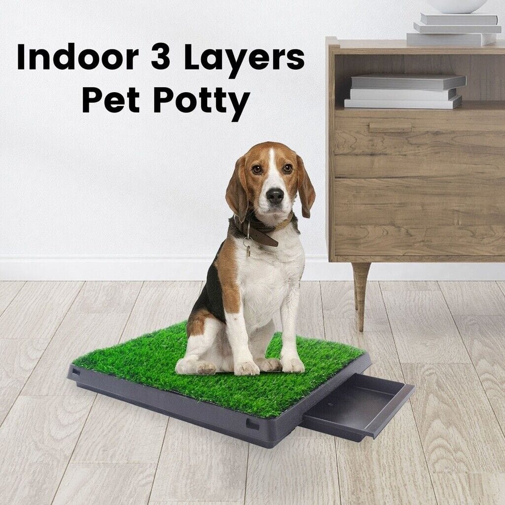 Spud Jax Petshop Floofi Pet Grass Training Potty 2 Piece Set FI-LM-111-FE Pet Care