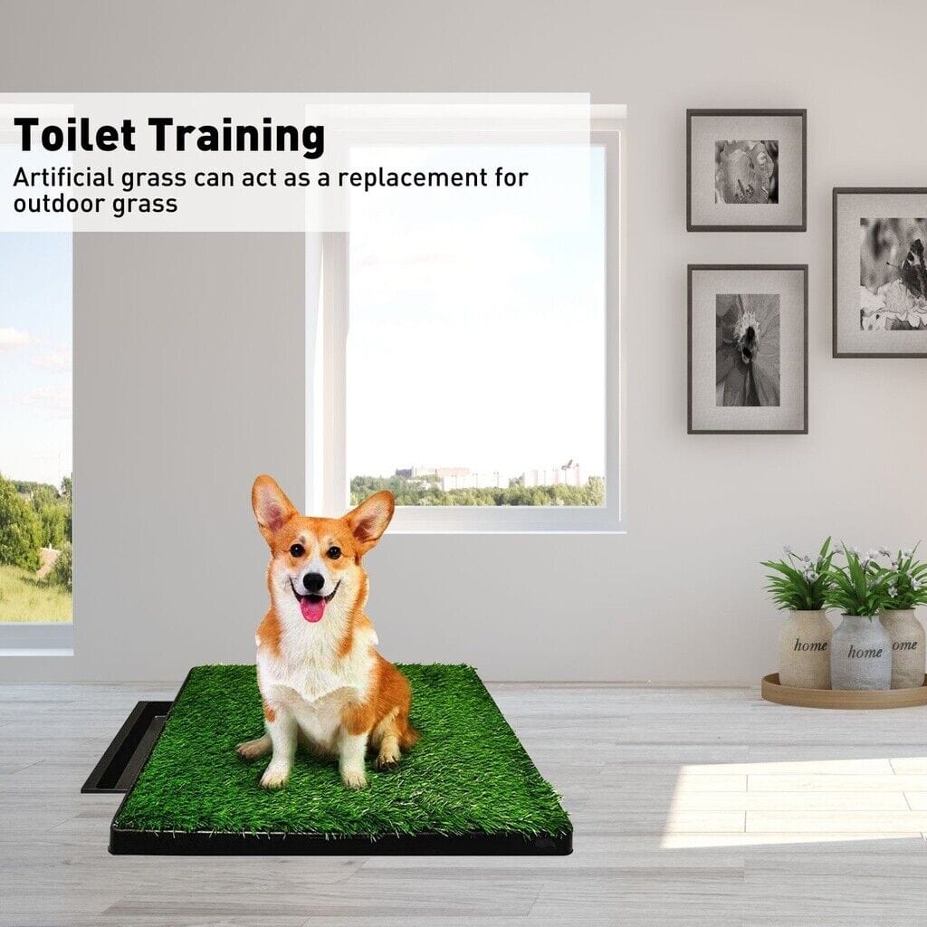 Spud Jax Petshop Floofi Pet Grass Training Potty 2 Piece Set FI-LM-111-FE Pet Care