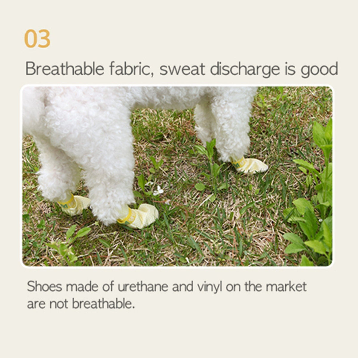 Spud Jax Petshop 28pc X Dog Shoes Waterproof Disposable Boots Anti-Slip Pet Socks M VIOLET Pet Care