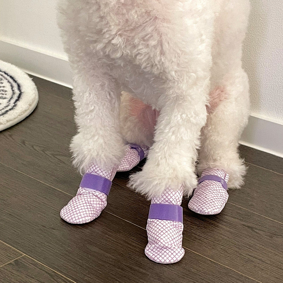 Spud Jax Petshop 28pc X Dog Shoes Waterproof Disposable Boots Anti-Slip Pet Socks M VIOLET Pet Care