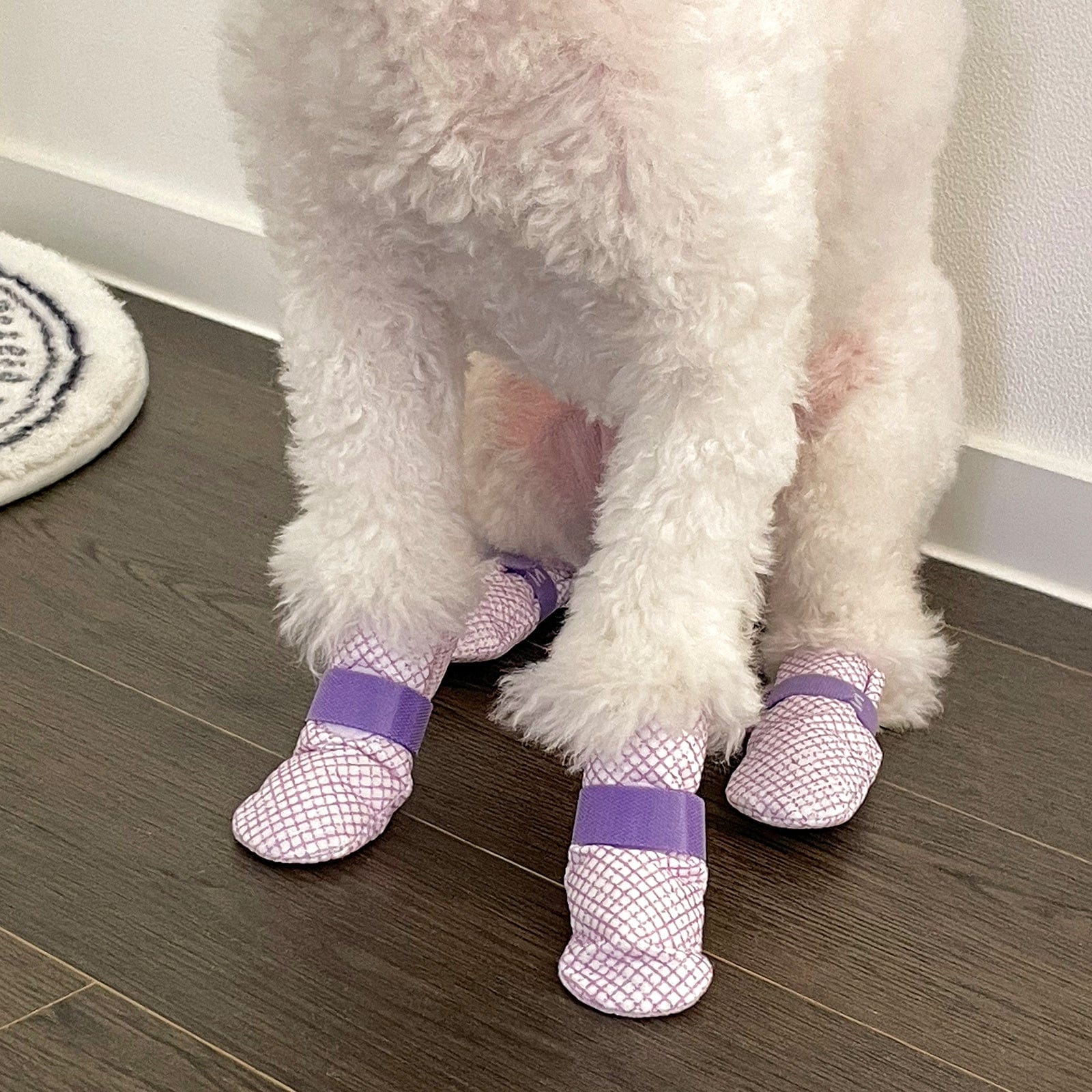 Spud Jax Petshop 28pc X Dog Shoes Waterproof Disposable Boots Anti-Slip Pet Socks M VIOLET Pet Care