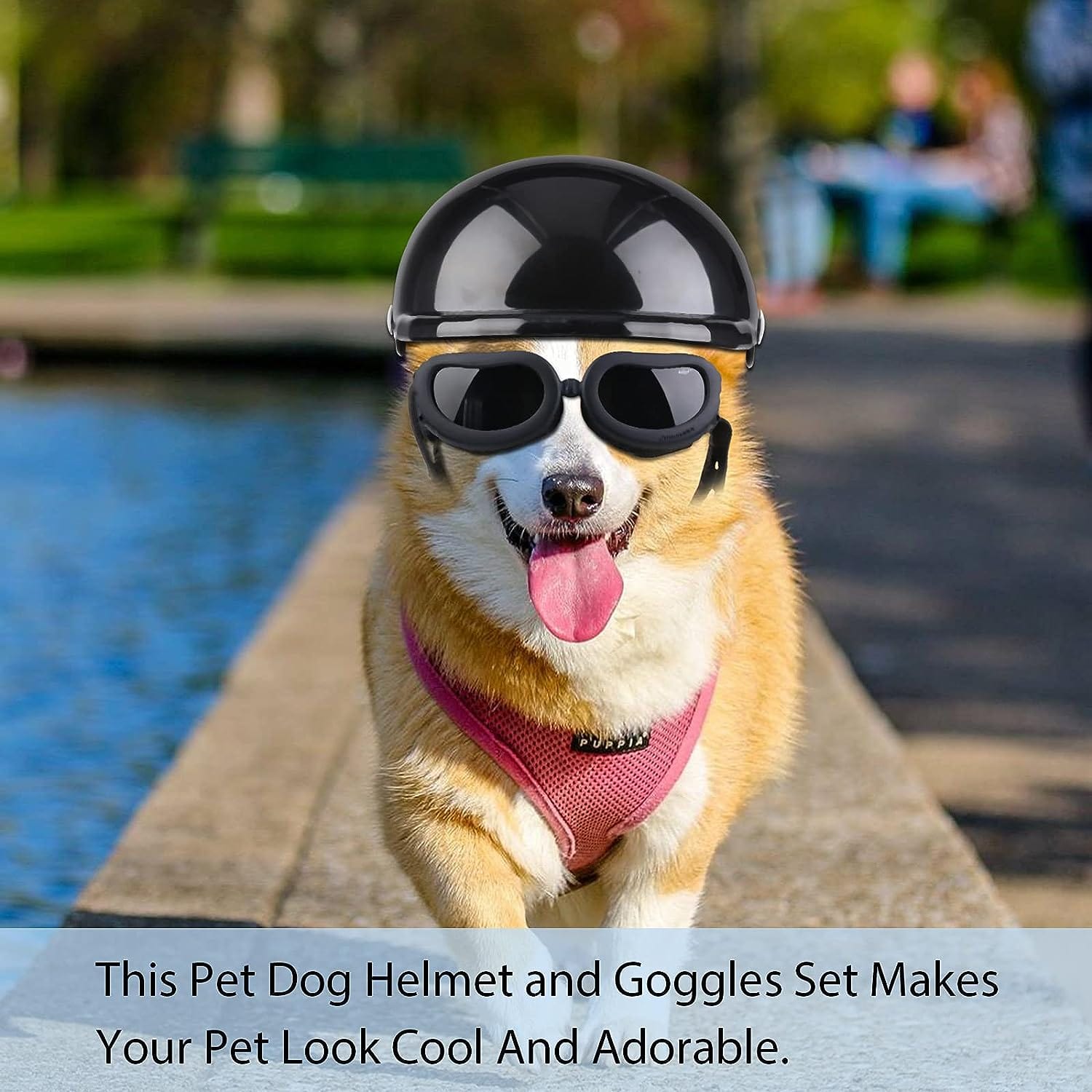 Spud Jax Petshop Dog Helmet Goggles, Small Size, Black Pet Care > Toys