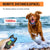 Spud Jax Petshop Electric Pet Dog Training Anti Bark Collar Sound Vibrate Auto  Rechargeable NEW Pet Care > Dog Supplies