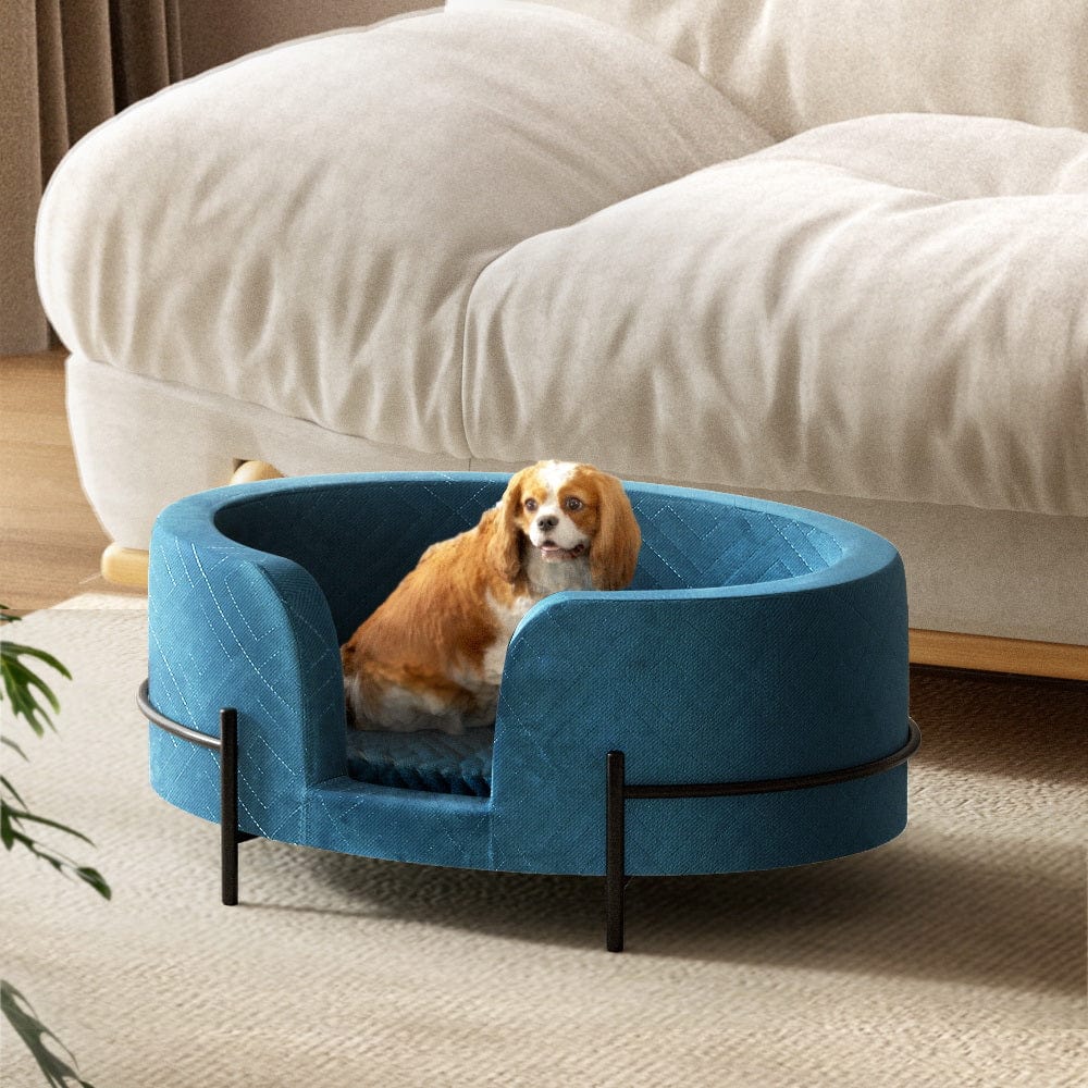 Spud Jax Petshop i.Pet Pet Bed Dog Sofa Lounge Cat Calming Couch Raised Blue Pet Care > Dog Supplies