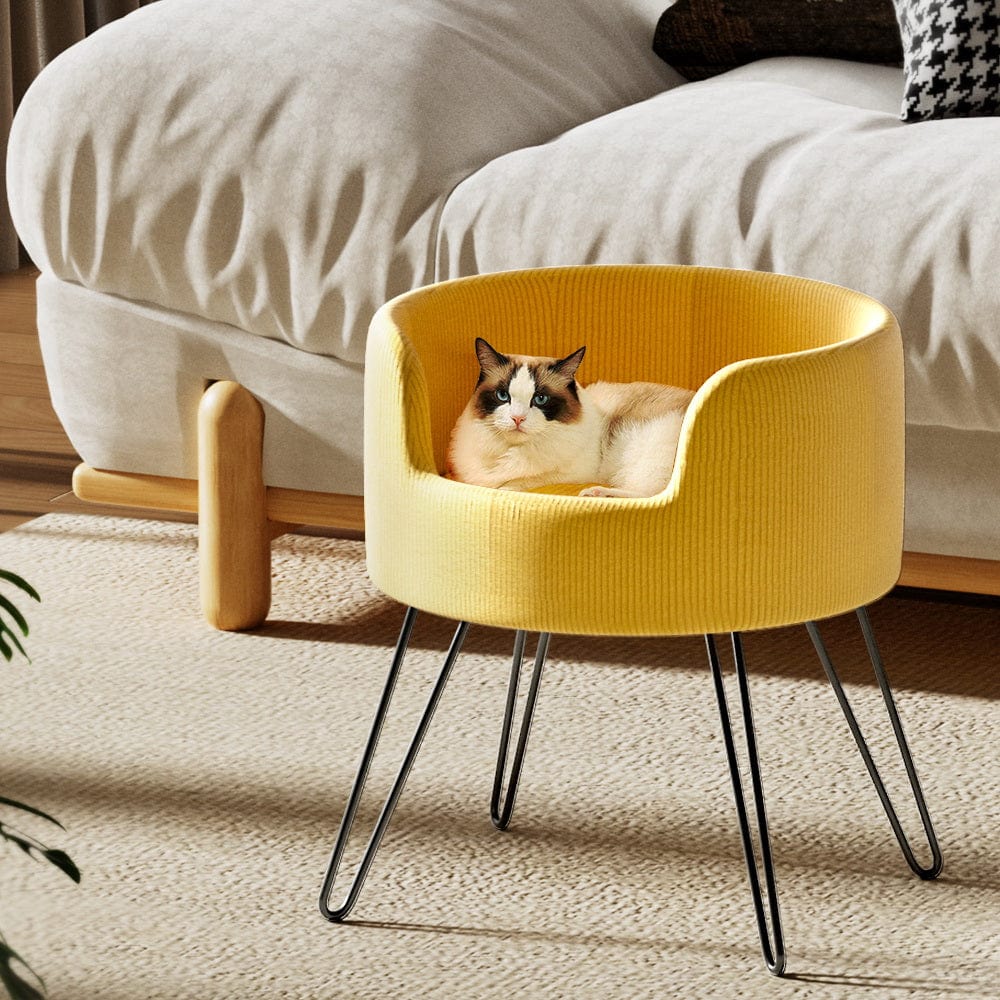 Spud Jax Petshop i.Pet Pet Bed Dog Sofa Lounge Cat Calming Raised Couch Yellow Pet Care > Dog Supplies