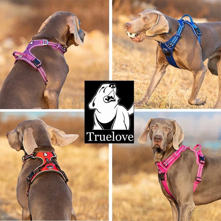 Spud Jax Petshop No Pull Harness Black L Pet Care > Dog Supplies