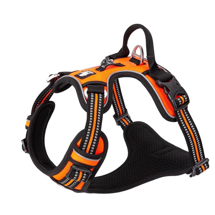 Spud Jax Petshop No Pull Harness Orange L Pet Care > Dog Supplies