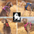 Spud Jax Petshop No Pull Harness Pink S Pet Care > Dog Supplies