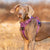 Spud Jax Petshop No Pull Harness Purple S Pet Care > Dog Supplies