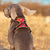 Spud Jax Petshop No Pull Harness Red XL Pet Care > Dog Supplies