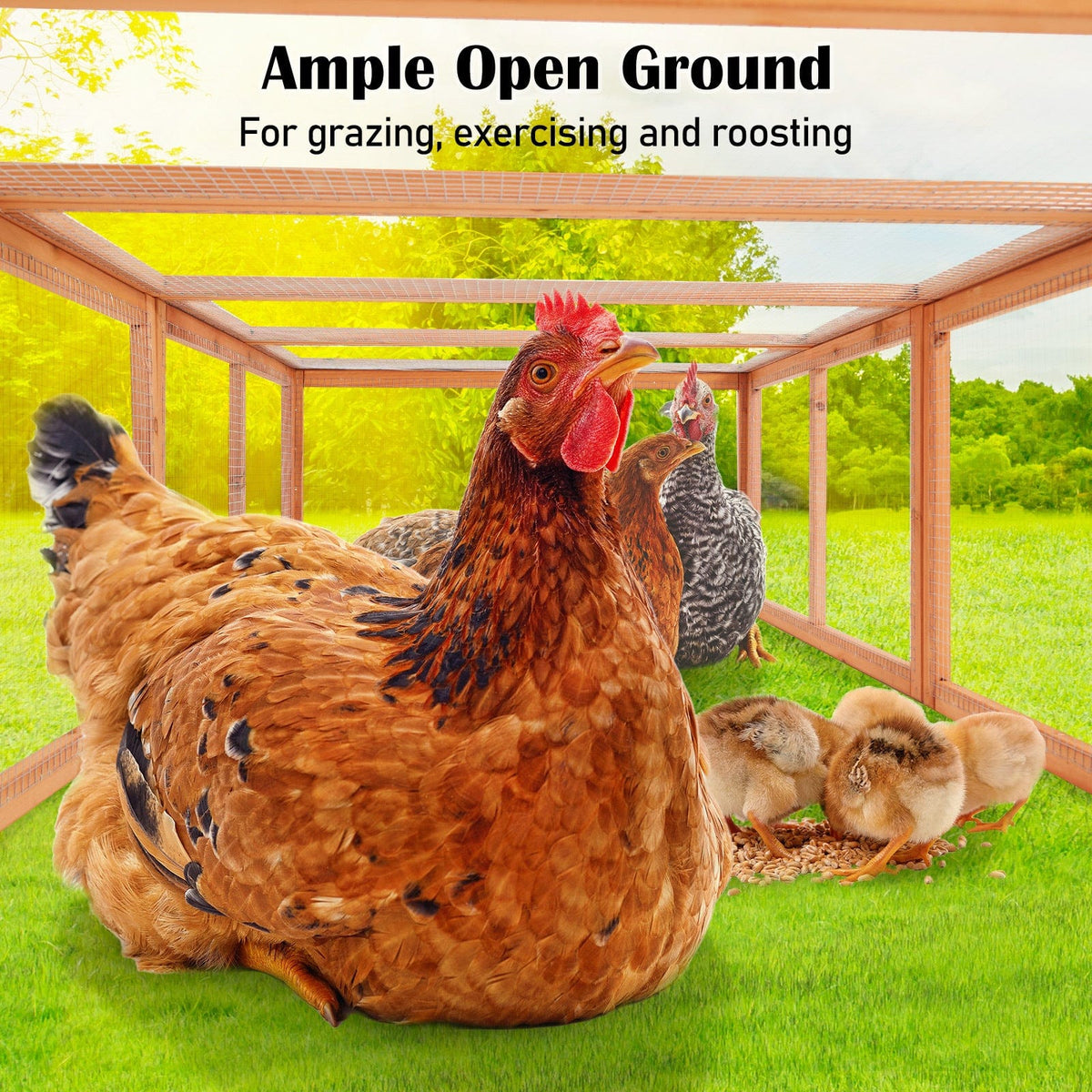 Spud Jax Petshop Paw Mate Chicken Coop Rabbit Hutch Extension Run 180 x 90 x 48cm Runey Pet Care